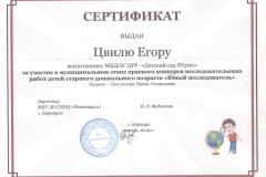 Сертификат-Юный-исследователь